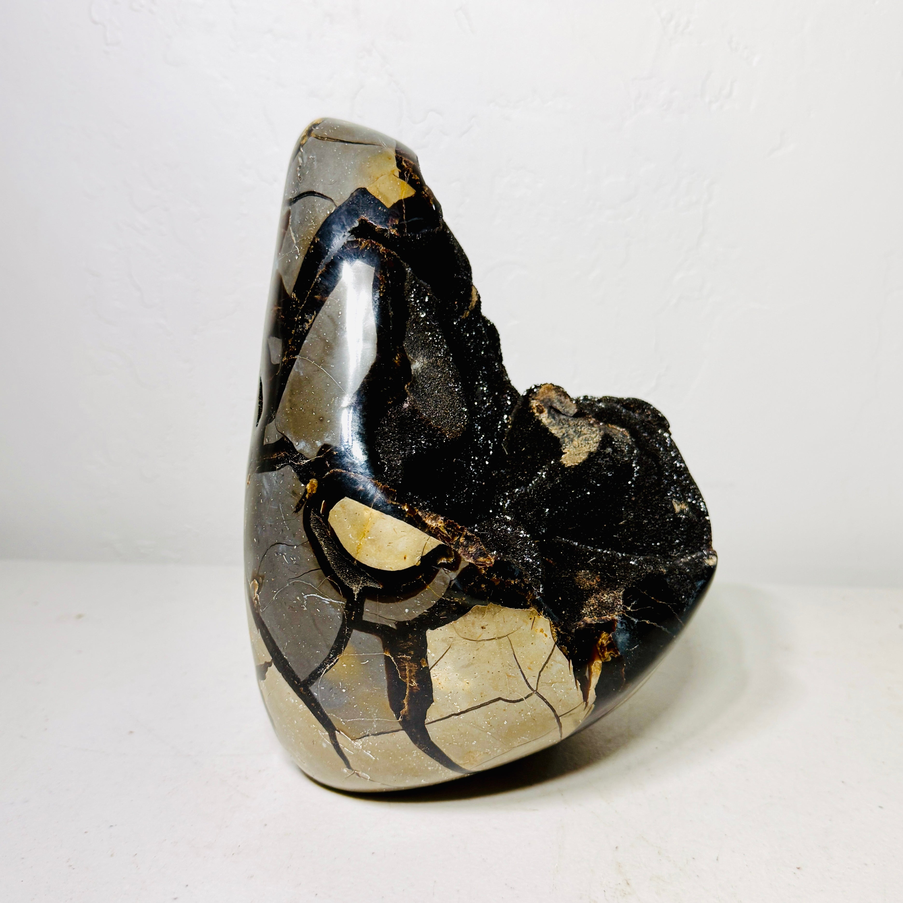 Large Black Septarian Dragon Stone Freeform with Dark Druzy Cavity – 10.7 lb Statement Specimen