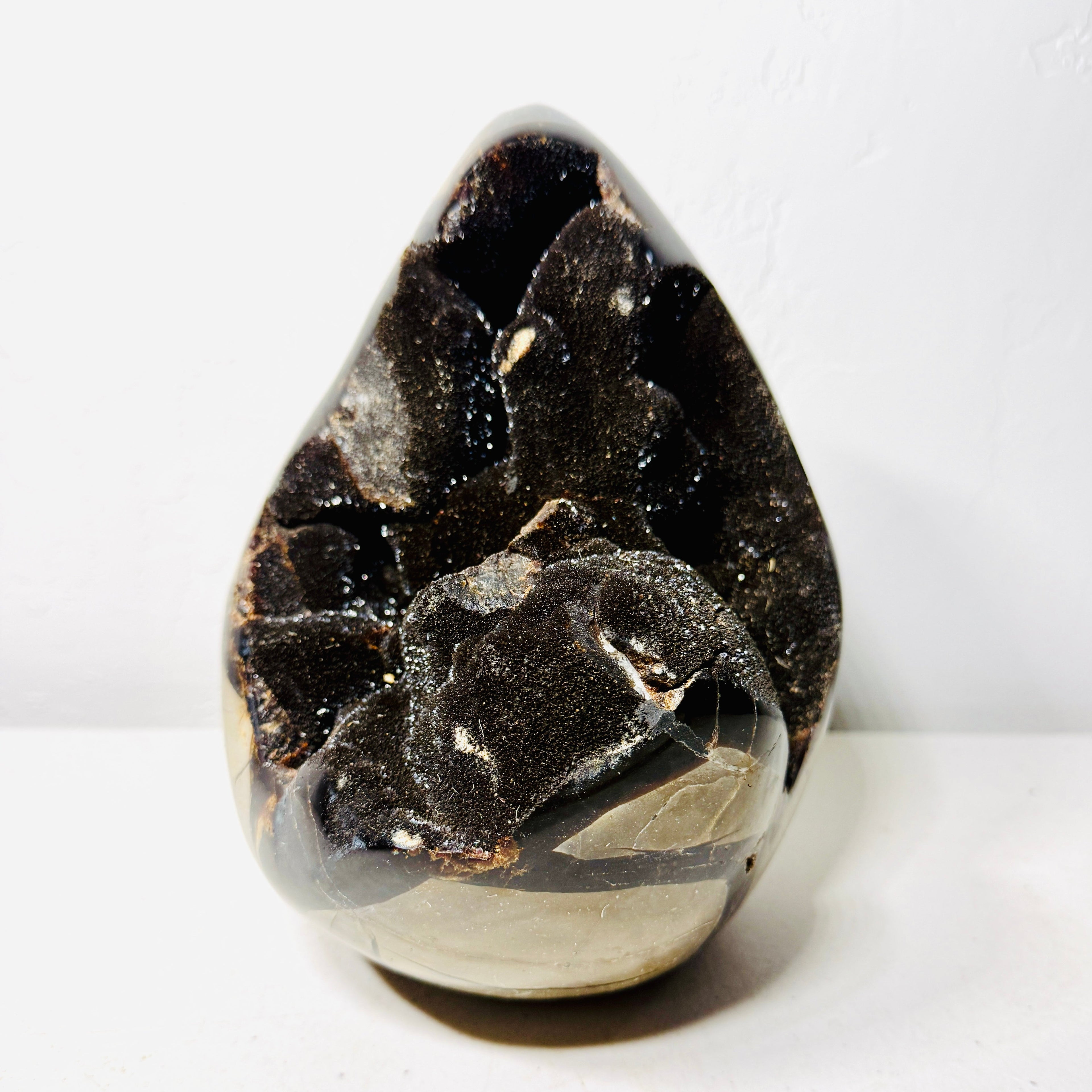 Large Black Septarian Dragon Stone Freeform with Dark Druzy Cavity – 10.7 lb Statement Specimen